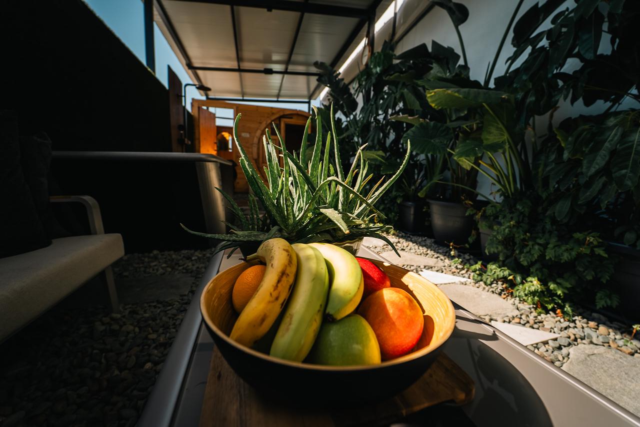 Bowl of fresh fruit and an aloe plant in the green relaxation area